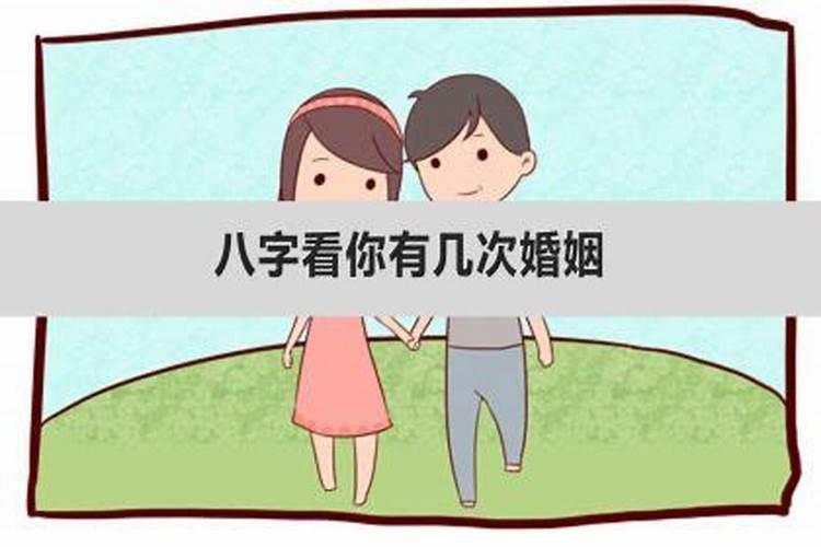 属虎人全年运势,属虎的人一生的运程