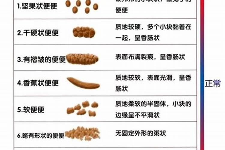 生肖属鸡陪戴龙纹项链相冲吗？