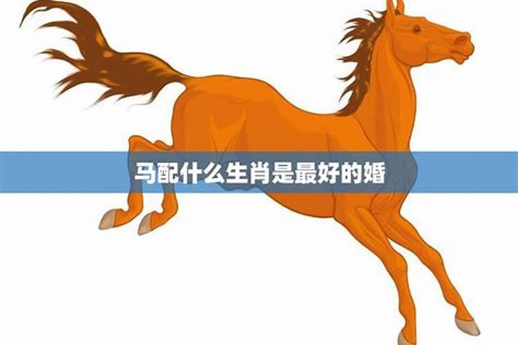 90年属马的属相婚配表大全 嫁或取什么属相的人合适