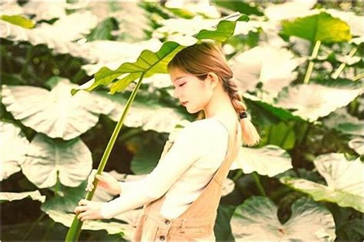 女人梦见大粪坑里满满大粪