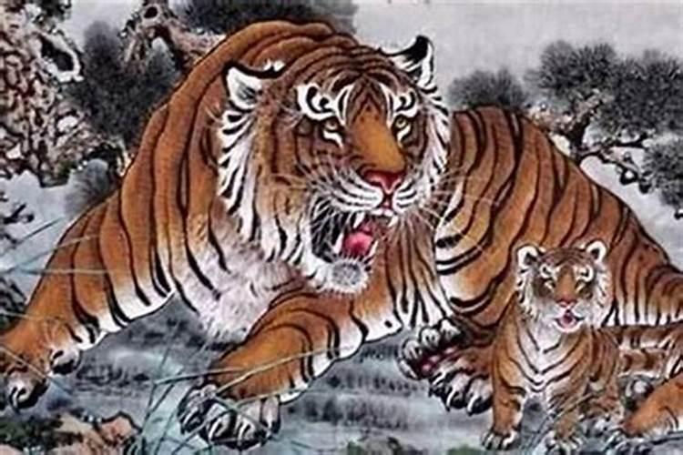 生辰八字解析:虎宝宝在辰时出生命好吗 早运显达晚年转运？