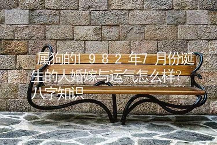 82年属狗人2025运势运程