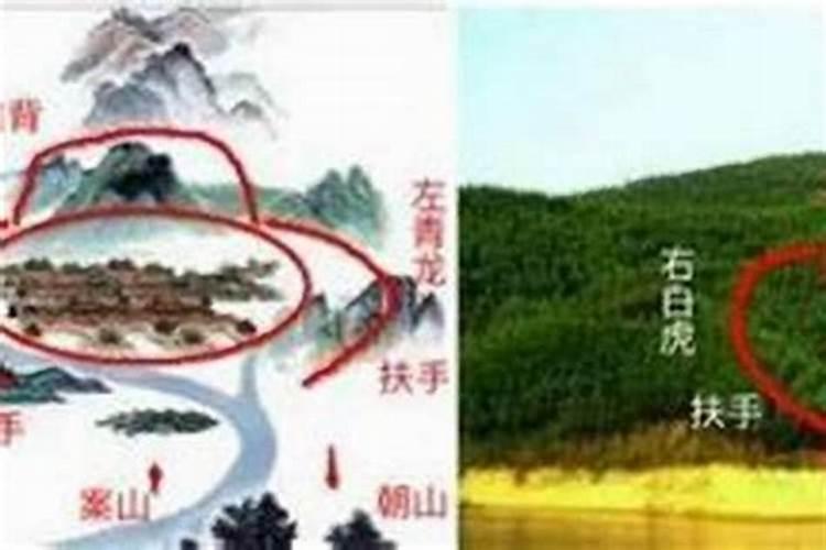 兔年本命年是哪些年龄 兔年本命年什么年龄