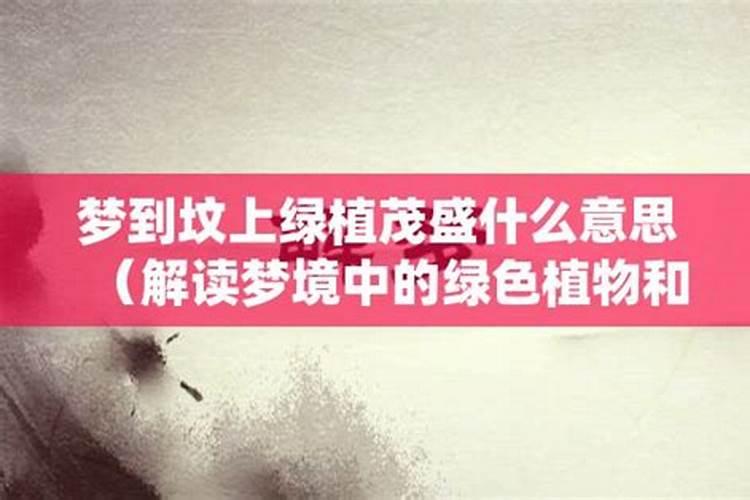 梦到墓地什么预兆 梦到墓地好不好