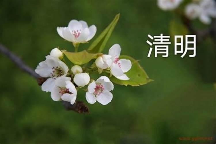 算两人生辰八字合不合适八字怎么才算合