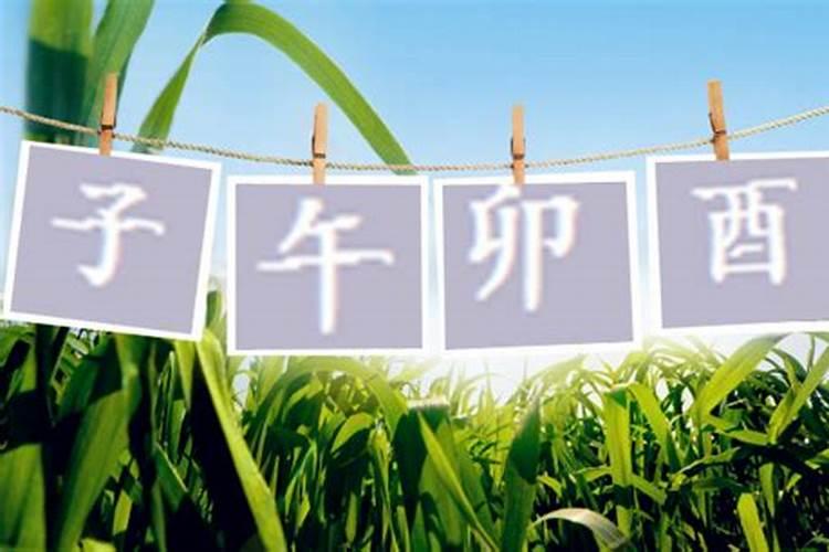 2025年9月份出生的宝宝五行缺什么 怎么取名