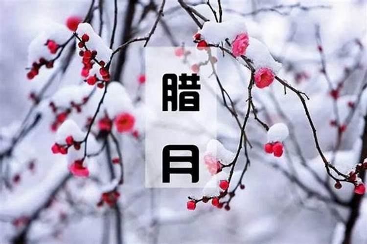 腊月十八是谁的生日