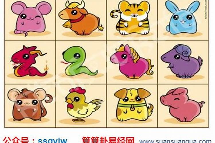 属蛇人出生年月日时命运大全