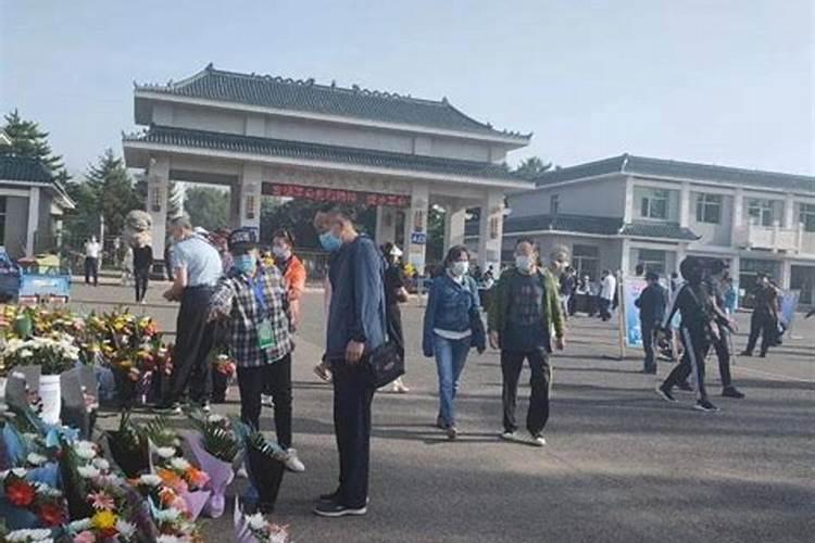 蒙古族有什么节日