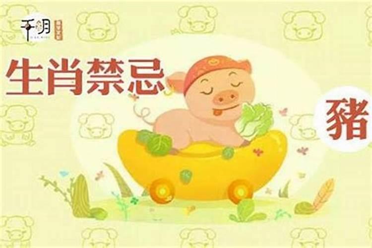 农历三月出生的属猪女好不好 三月生的属猪女性格特点