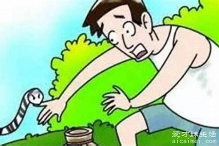 梦见家人被蛇咬的预兆