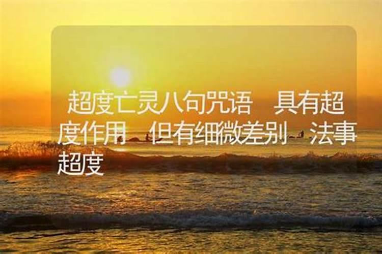 十二生肖兔年运程指南作者简介