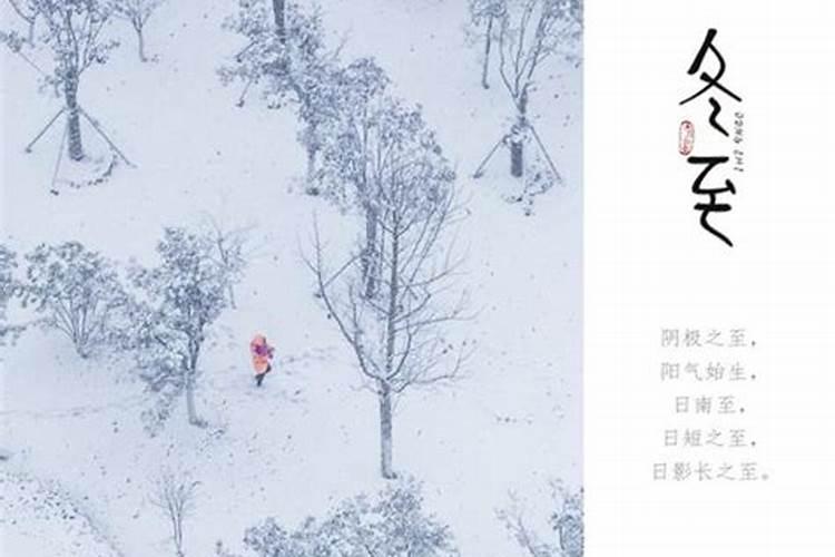 94年属狗人不同月份出生命运分析