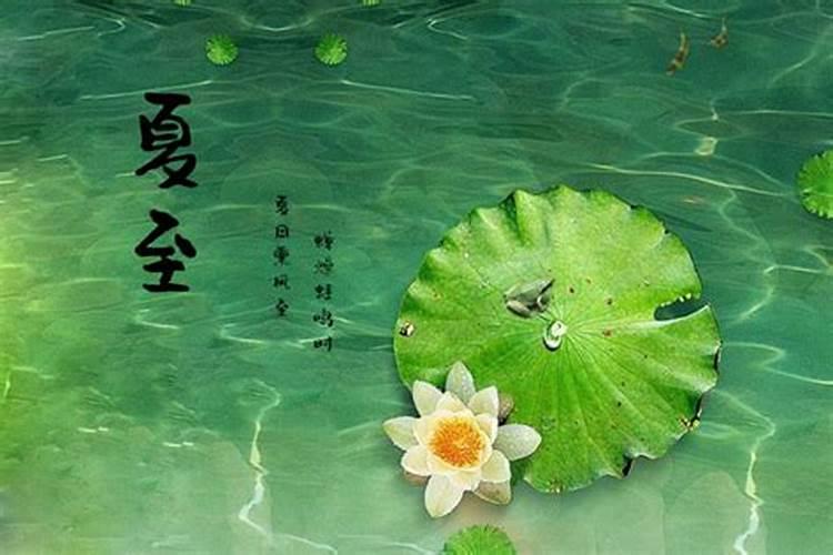 夏至的习俗 夏至节气的传统习俗
