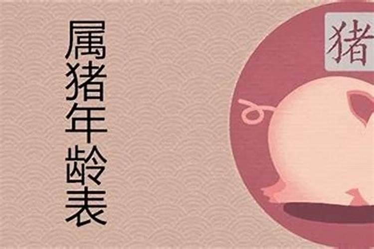 数猪的2025年多大了