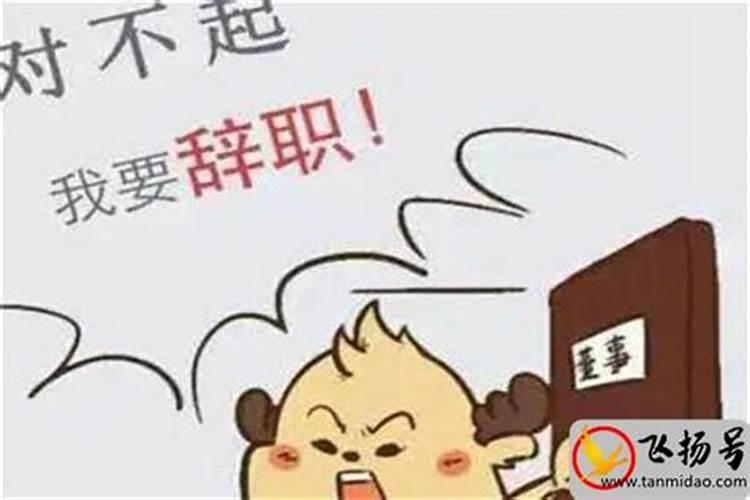 属马人2025年全年运势运程