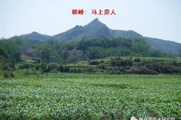 请高人帮舍妹起个好名字