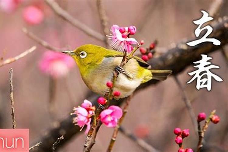 日本有哪些节日,习俗？？？