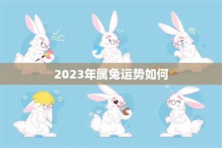 未来五年属兔人的运气会怎样？