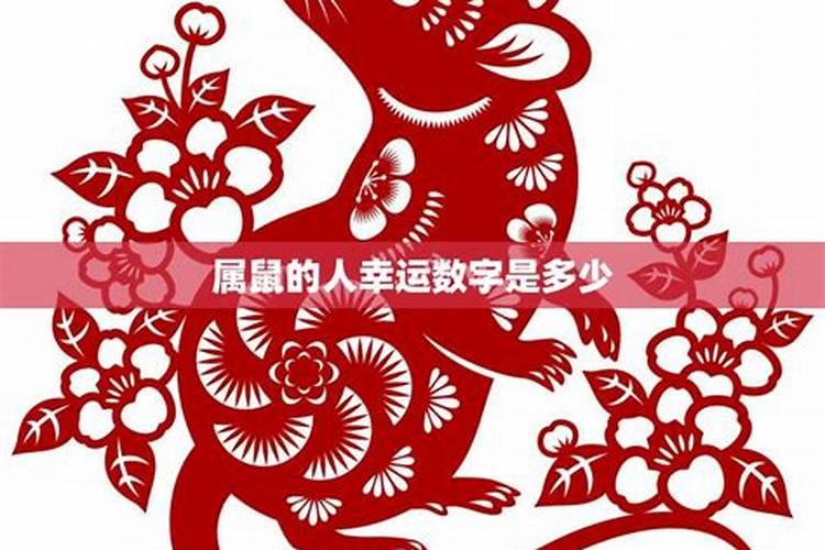 91年女羊2025年一年的运势