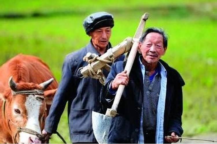 什么生肖的宝宝好 最有富贵命的五大生肖