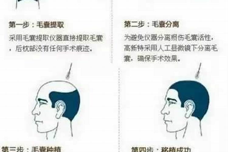 2025年天蝎座全年运势完整版