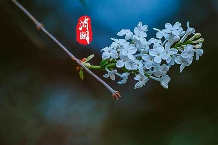 梦见表姐家吃饭