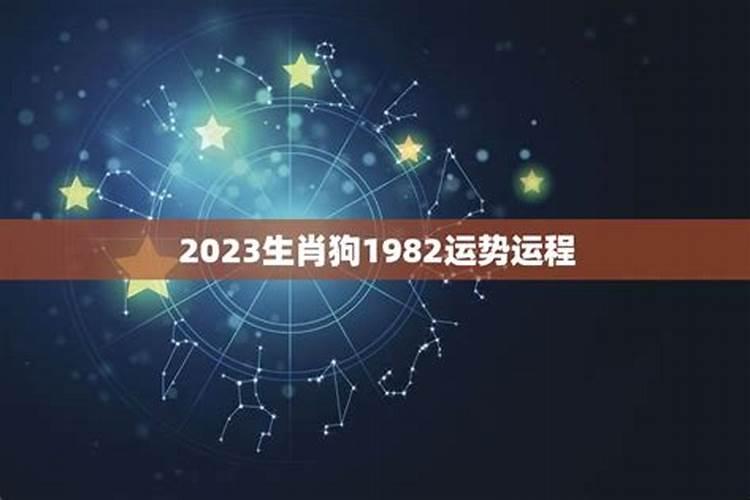 生肖羊2025年运势 属羊2025年运势及运程