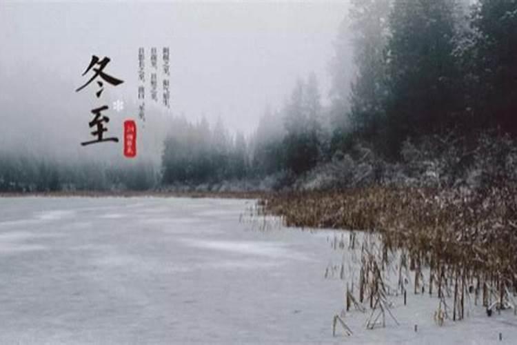 男狗女狗结婚好不好 两个属狗的结婚相冲吗