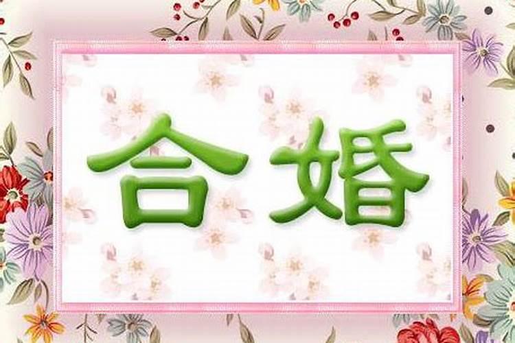 2025属猪化解破太岁最佳方法