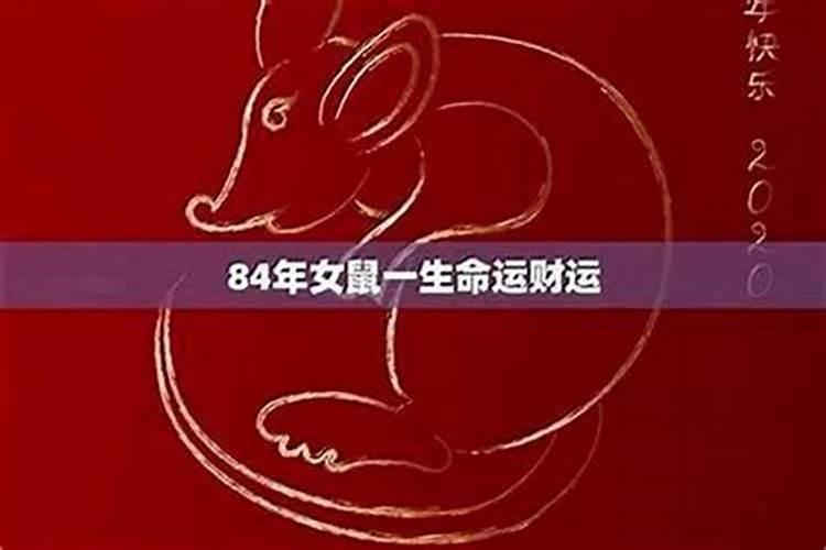 84年鼠男2025年属鼠人的全年运势