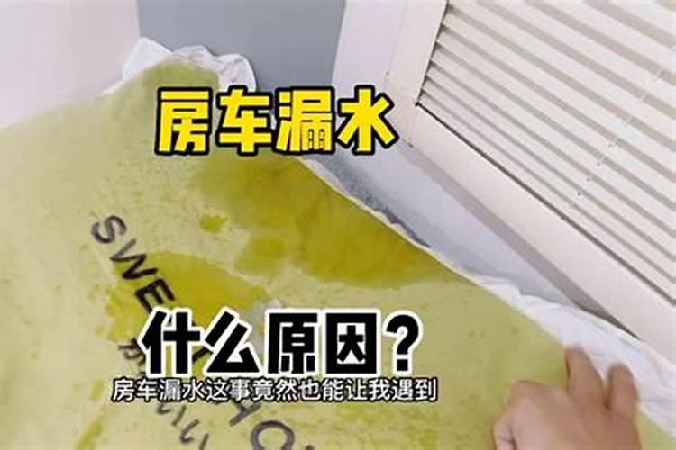 2025生肖鼠的运势大全 属鼠人2025年每月运势