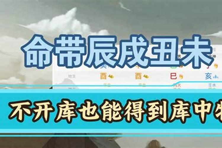 怎么看八字财库