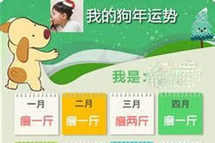 属狗人2024运势及运程完整版 属狗2024年运势及每月运程详解