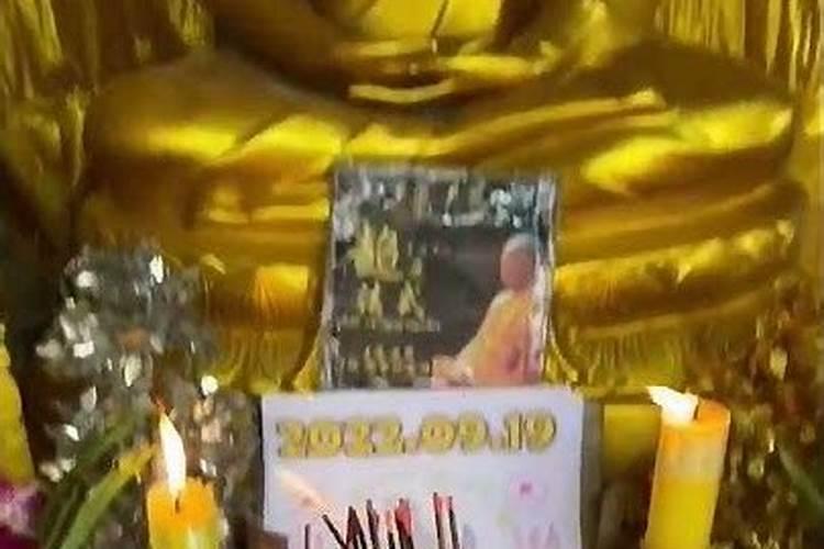 端午节要干嘛