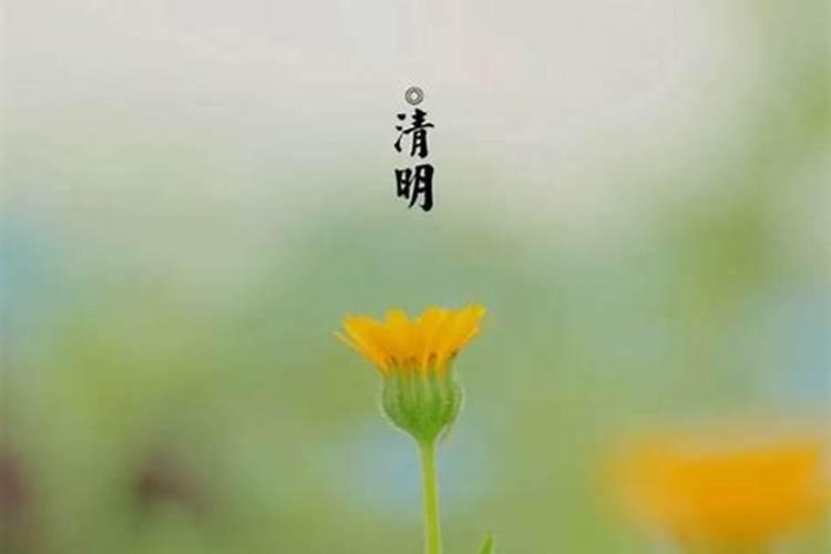 出生在清明节的孩子好不好？