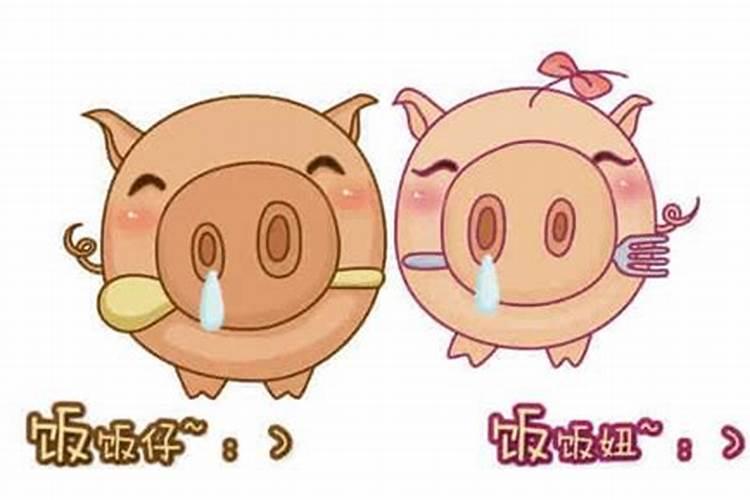 2025年属什么生肖犯太岁