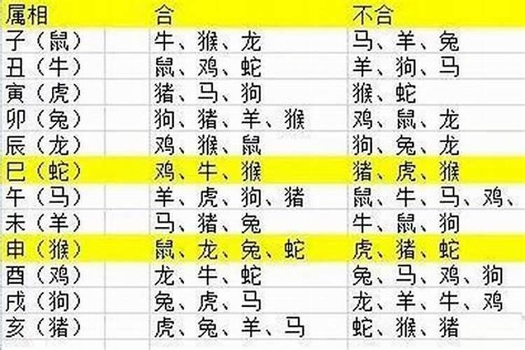 1953年属蛇人2024年运势及运程详解