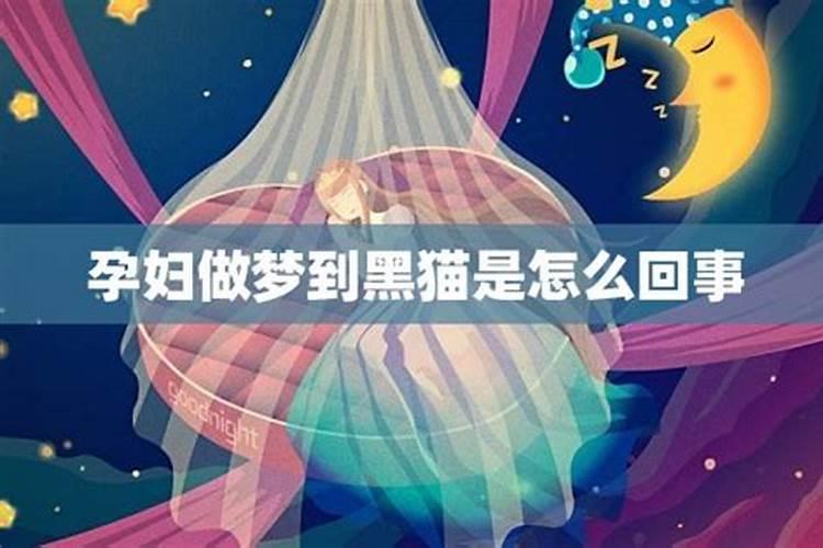 梦见猫是预示什么