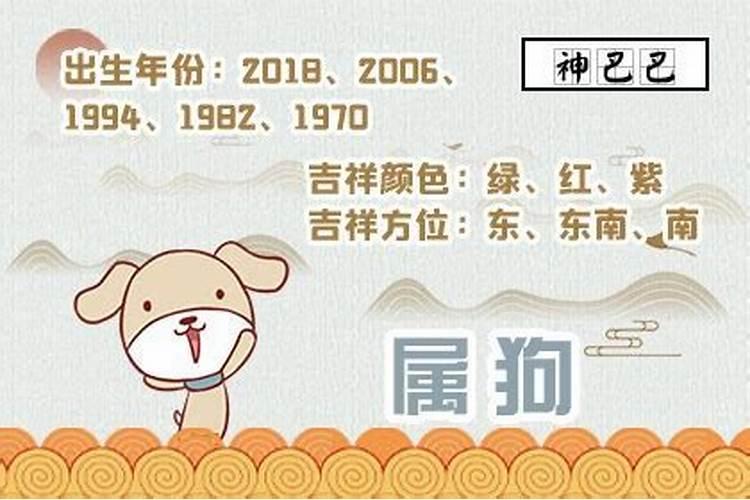 2025年6月5日生肖运势详解