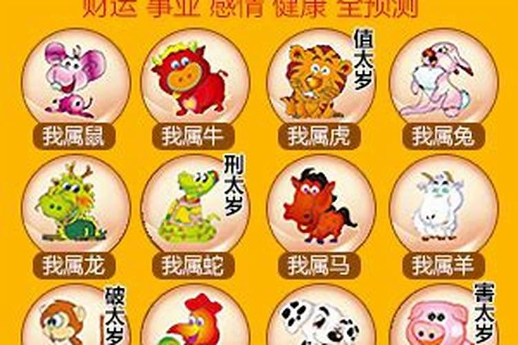 2025年6月6日生肖运势详解