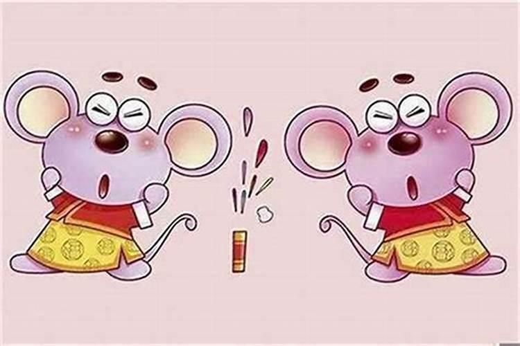 火鼠水命一生运势,火鼠命为什么又属水？