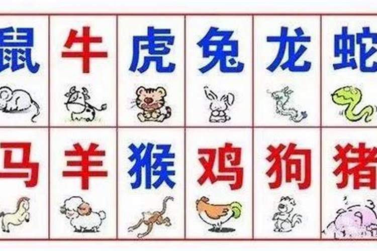 如何用属相五行合婚？