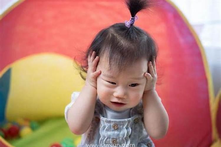 女人梦见鹦鹉是什么预兆
