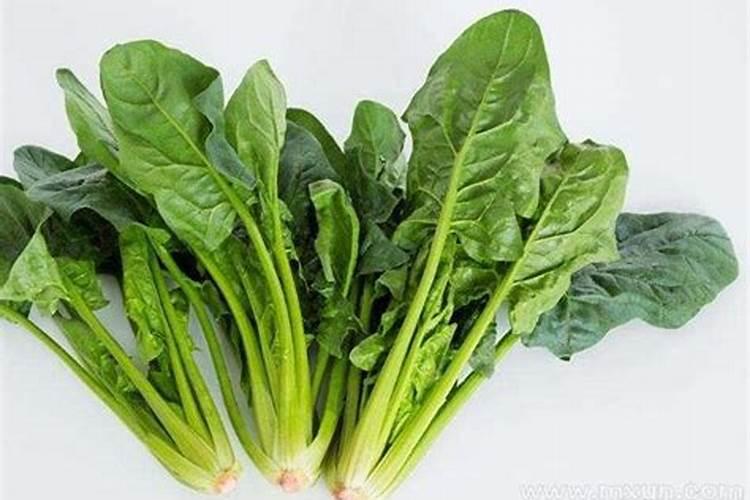梦到买菠菜是什么意思