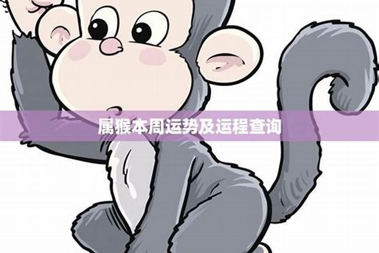 生辰八字算命婚姻配对可信吗