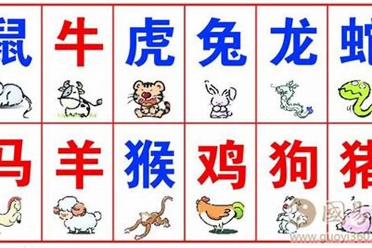 1到30日属相对照表,12生肖是怎样对应初一到三十