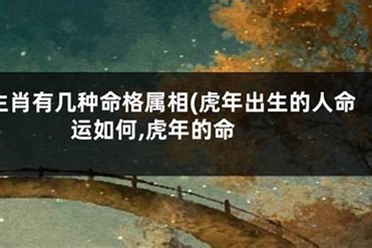 65年腊月初三晚23:00命运如何