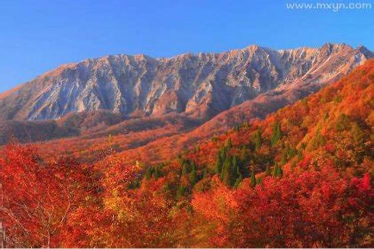 梦见一座大山什么预示