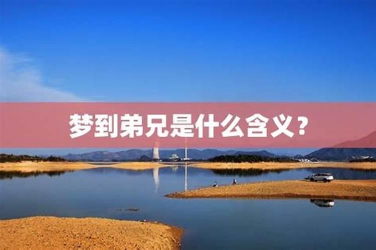 梦见好久没见的堂弟的预兆